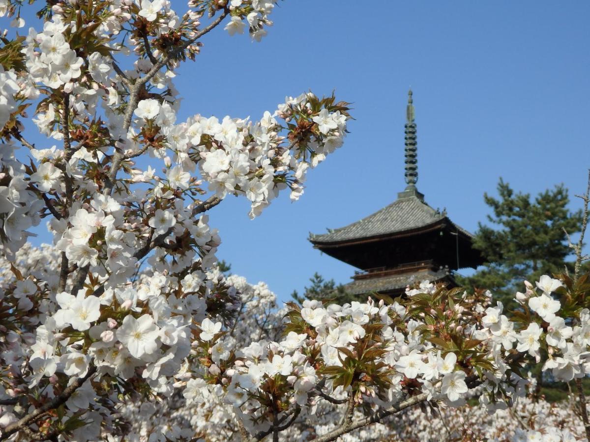 Stay Sakura Kyoto Tsubaki Exterior foto